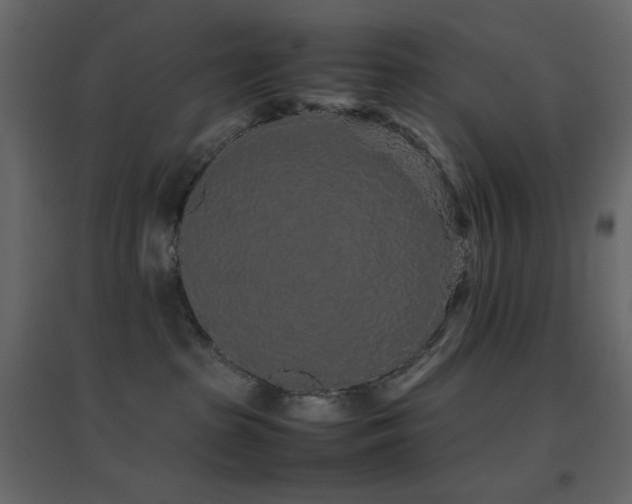 X0000096650285200802051202