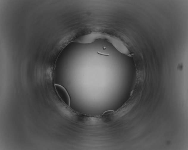 X0000096650286200802051202