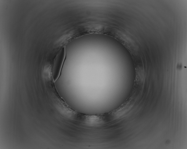 X0000096650287200802051202