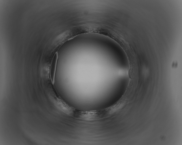 X0000096650288200802051202
