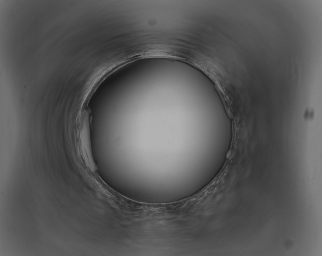 X0000096650289200802051201