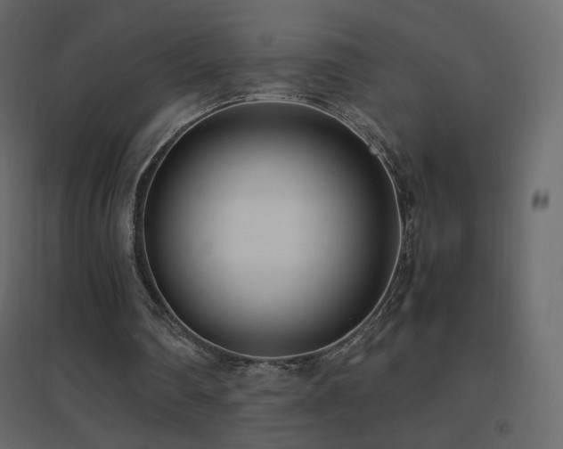 X0000096650290200802051201