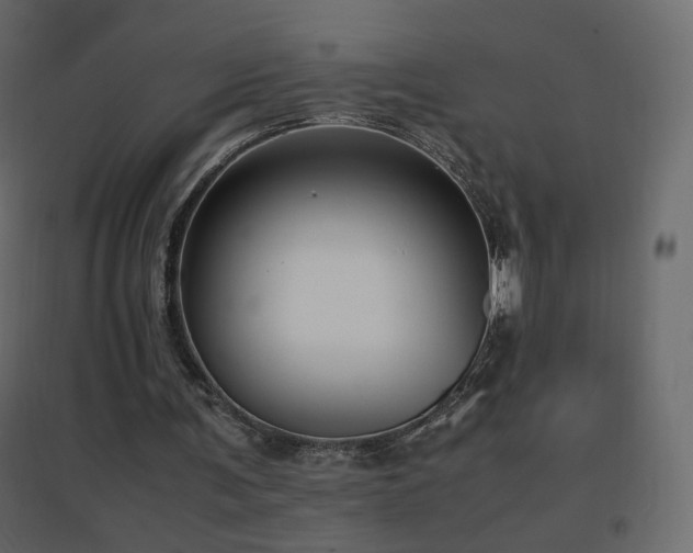 X0000096650291200802051201