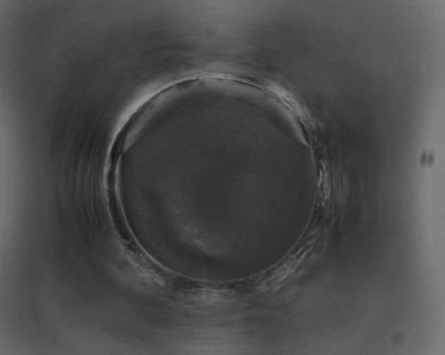X0000096650292200802051201
