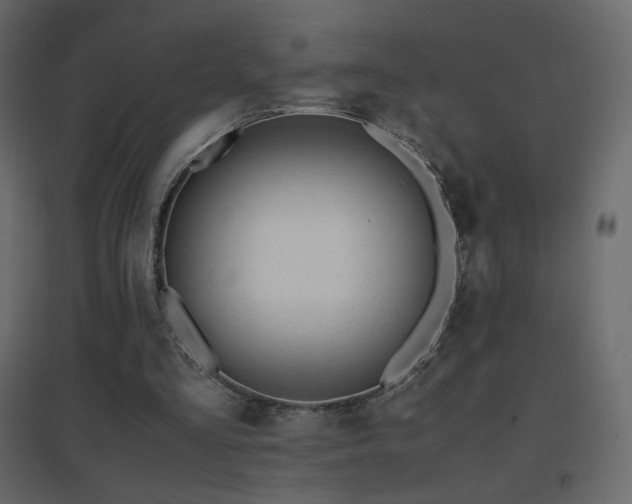 X0000096650293200802051201
