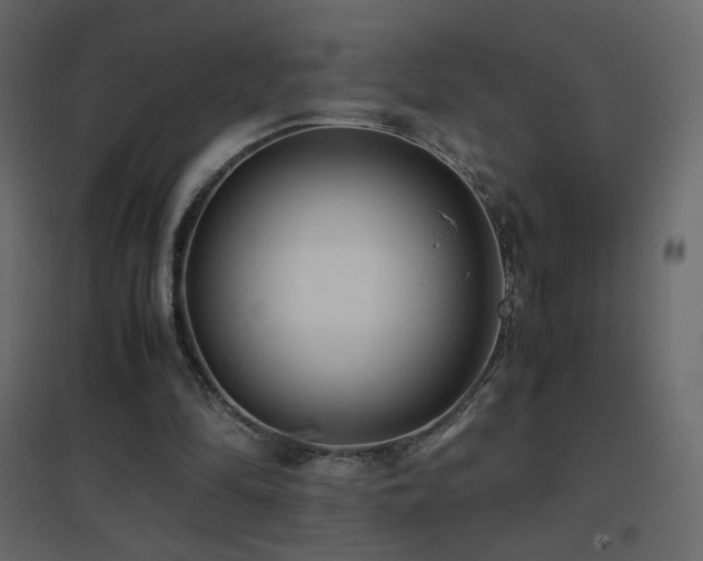 X0000096650294200802051201