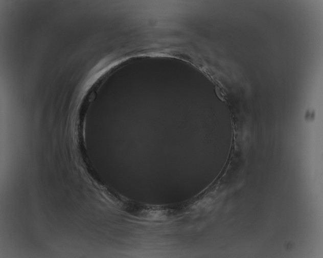 X0000096650295200802051201