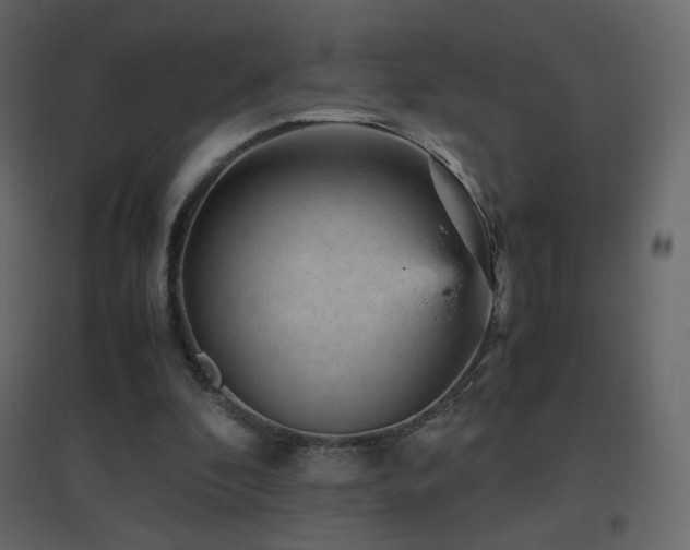 X0000096650296200802051201