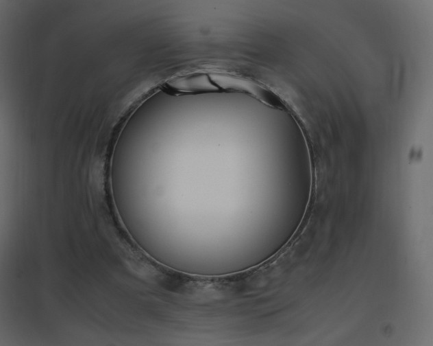 X0000096650297200802051201