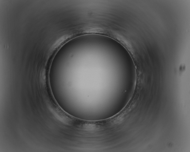 X0000096650298200802051201