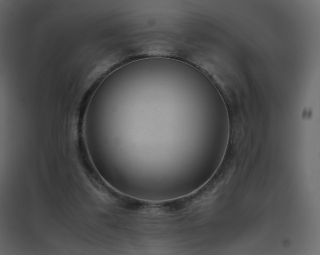 X0000096650299200802051201