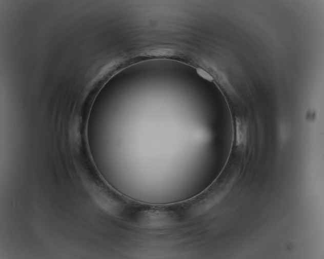 X0000096650300200802051201