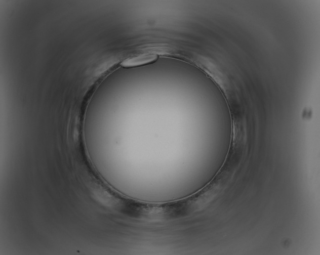 X0000096650301200802051201