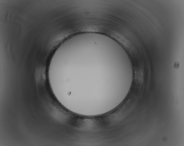 X0000096650302200802051201