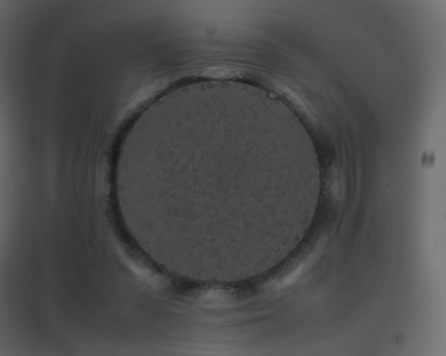 X0000096650303200802051201