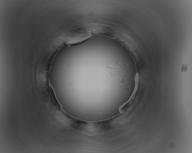 X0000096650305200802051201