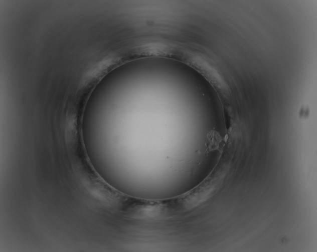 X0000096650306200802051201