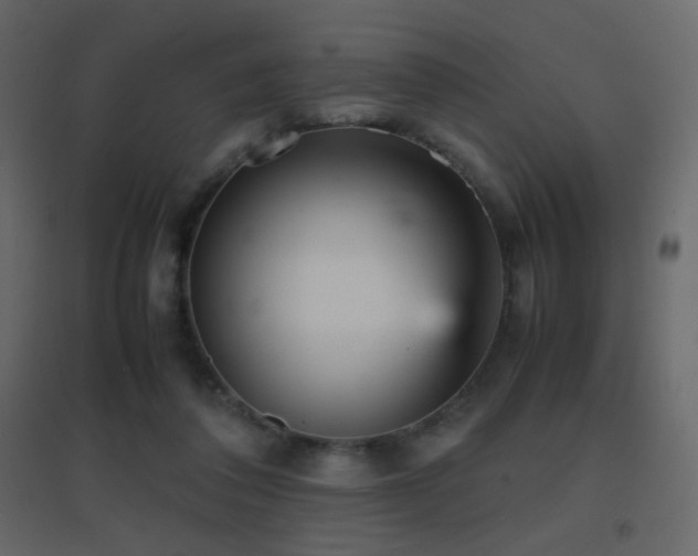 X0000096650308200802051201