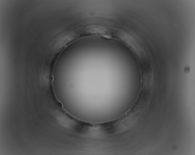 X0000096650309200802051201