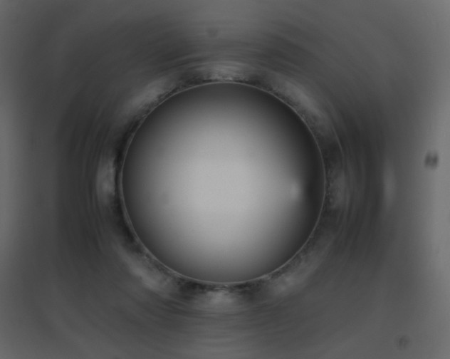 X0000096650310200802051201