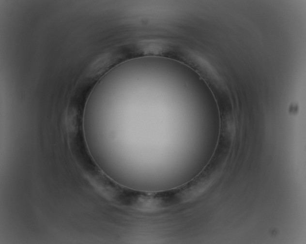 X0000096650311200802051201