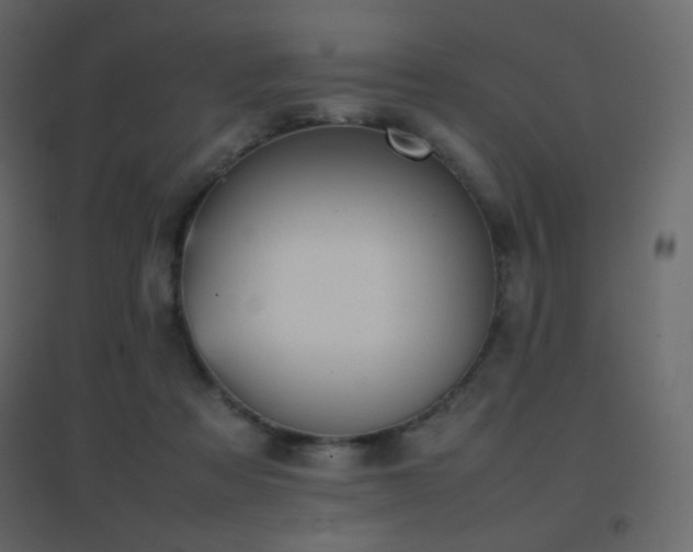 X0000096650313200802051201