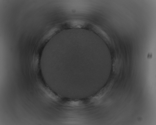 X0000096650314200802051201