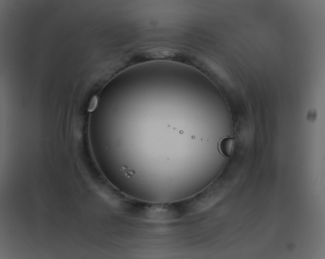 X0000096650315200802051201
