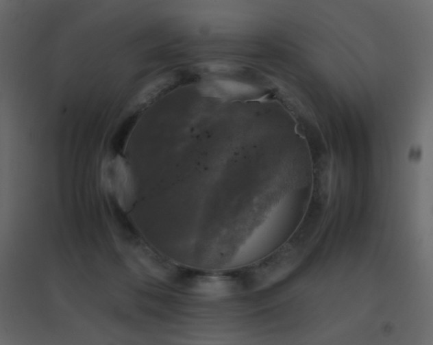 X0000096650316200802051201
