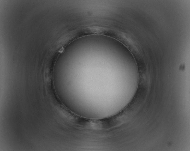 X0000096650317200802051201