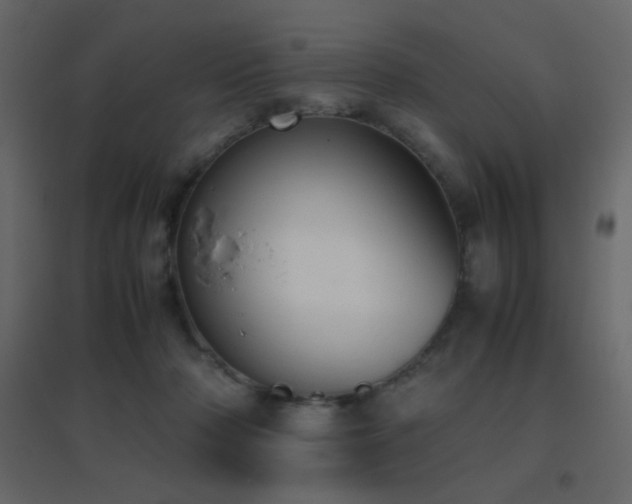 X0000096650318200802051201