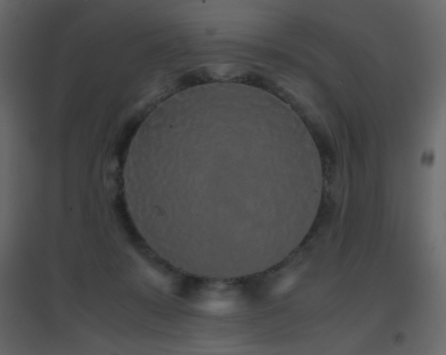 X0000096650319200802051201