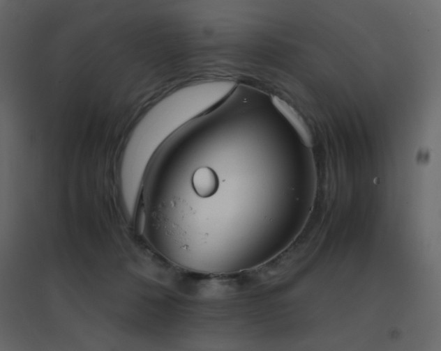 X0000096650320200802051201