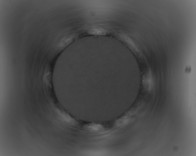 X0000096650322200802051201