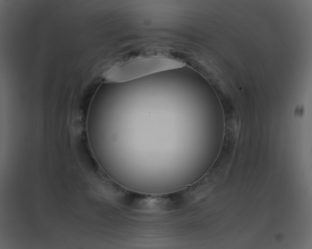 X0000096650323200802051201