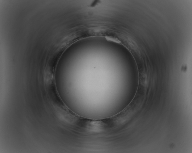 X0000096650324200802051201