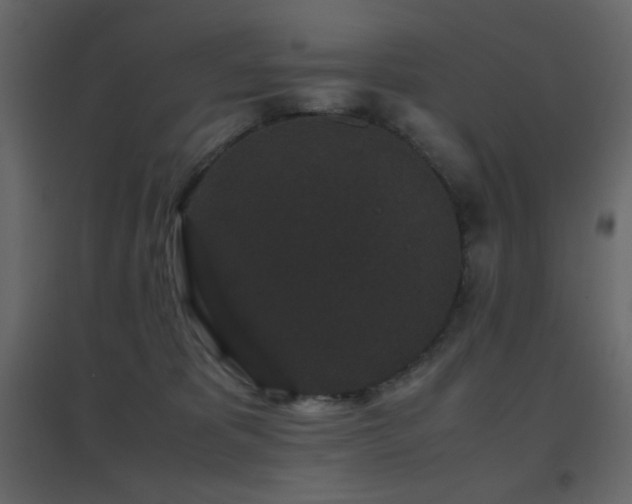 X0000096650325200802051201