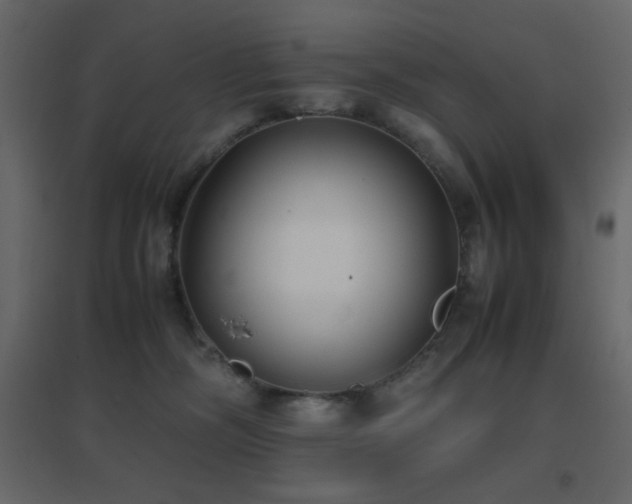 X0000096650326200802051201