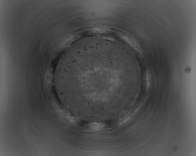 X0000096650328200802051201