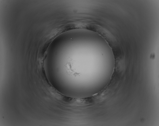 X0000096650329200802051201
