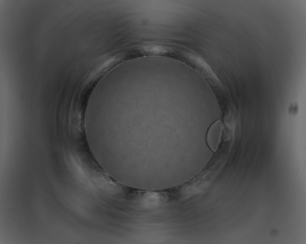 X0000096650330200802051201