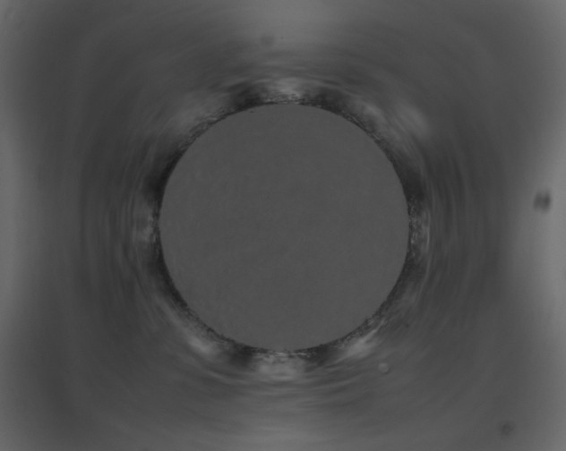 X0000096650331200802051201