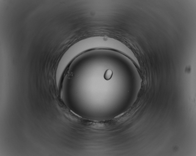 X0000096650332200802051201