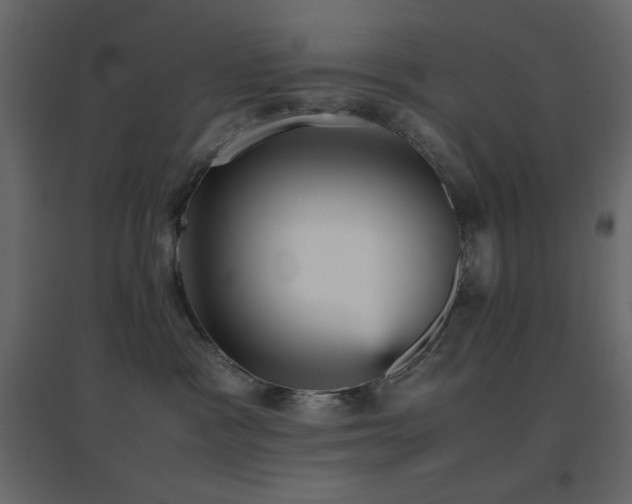 X0000096650333200802051201