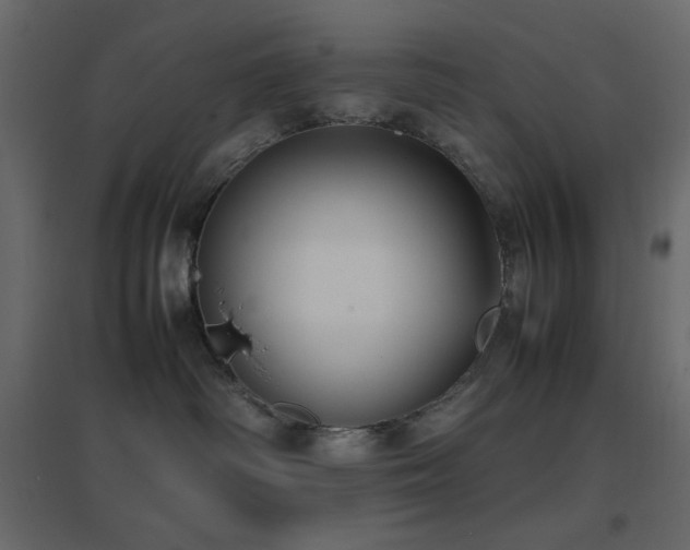X0000096650334200802051201