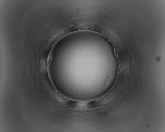 X0000096650335200802051201