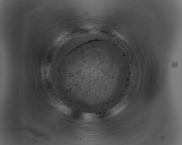 X0000096650336200802051201