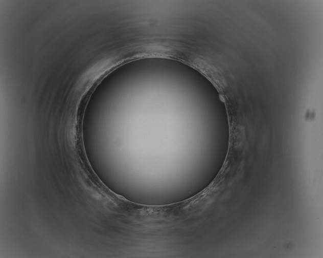 X0000096650338200802051200