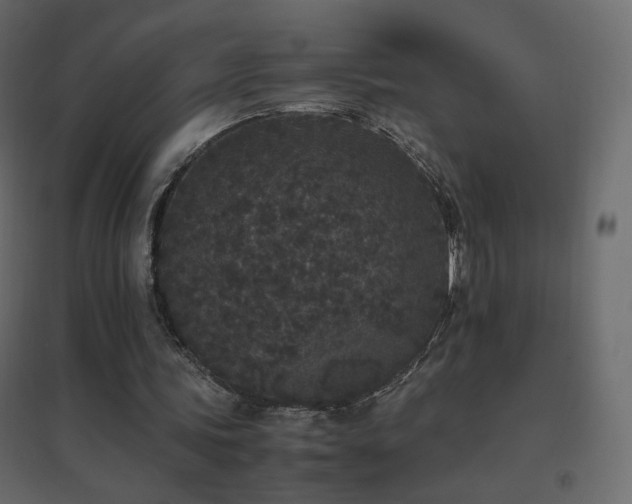 X0000096650339200802051200