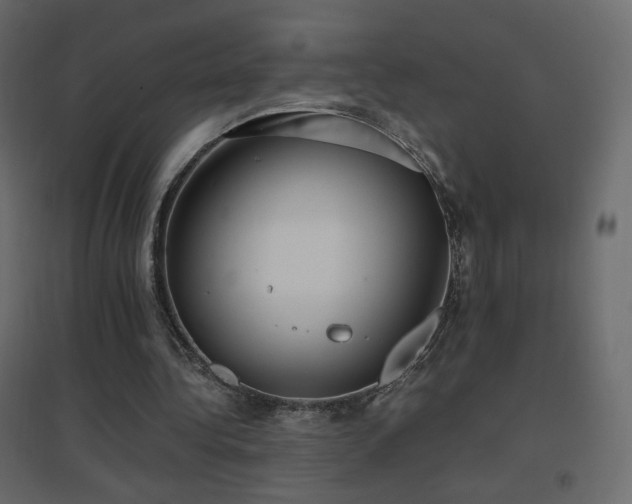 X0000096650340200802051200